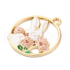 Alloy Enamel Pendants FIND-M060-25A-G02-3