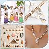 SUPERFINDINGS Natural Shell & Conch Decorations SHEL-FH0001-20-5