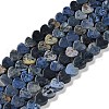 Natural Sodalite Beads Strands G-M403-A08-02-1