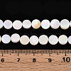 Electroplated Natural Freshwater Shell Beads Strands SSHEL-T017-31-4