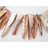 Natural Shell Beads Strands X-YPBB033-1