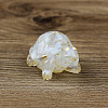 Resin Home Display Decorations G-PW0005-10D-1