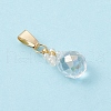 Glass Seed Beaded Pendants PALLOY-MZ00590-03-3