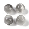 Resin European Beads RESI-F055-02F-1