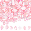 SUNNYCLUE 100Pcs Natural Trochid Shell/Trochus Shell Beads BSHE-SC0001-16B-1