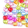 Transparent Acrylic Pendants X-TACR-T005-06-1