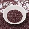 MIYUKI Delica Beads SEED-J020-DB1705-2