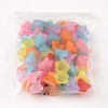 Mixed Color Frosted Acrylic Beads X-PL692-5
