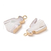 Natural Trochous Shell Pendants SHEL-P017-10G-2