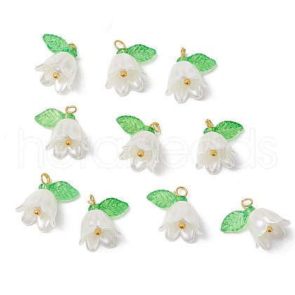 10Pcs Opaque Acrylic Charms PALLOY-JF02870-S-1