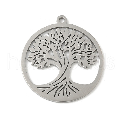 304 Stainless Steel Pendants STAS-V016-11P-1