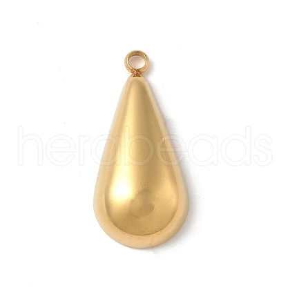304 Stainless Steel Pendants STAS-P388-12G-1