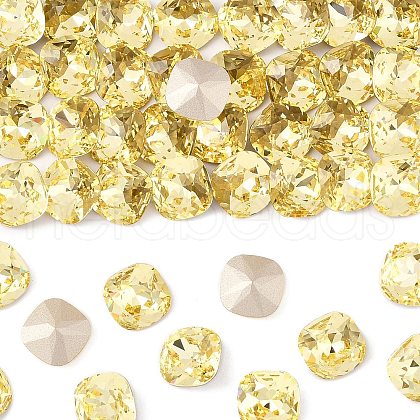 Preciosa® MAXIMA Crystal Fancy Stones X-PRC-FC12-80100-1