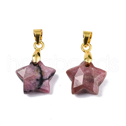 Natural Rhodonite Charms G-N326-142-05-1