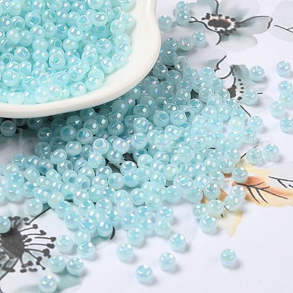 Glass Seed Beads SEED-H002-H-1304-1