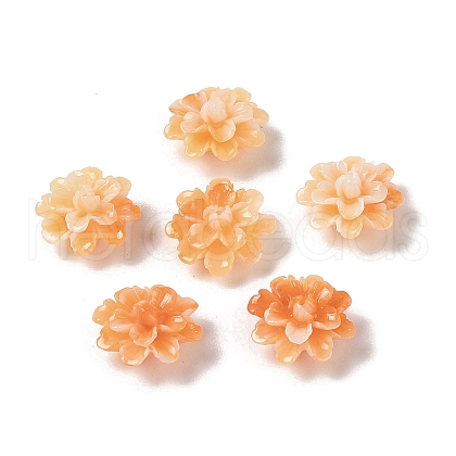 Synthetic Shell Dyed Beads SHEL-C006-01A-1