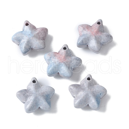 Natural Rainbow Alashan Agate Charms G-G194-02G-1