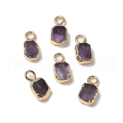 Natural Amethyst Rectangle Charms G-Q169-07G-09-1