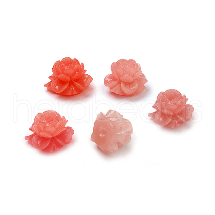 Shell Beads CORA-D032-16-1