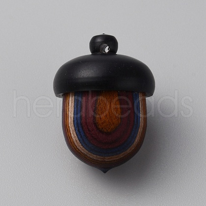 Wooden Acorn Box Jewelry Pendants WOOD-WH0024-152-1