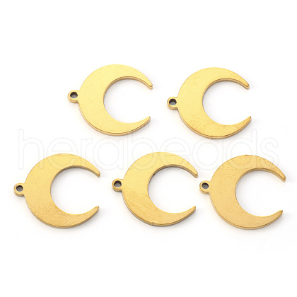 PVD Vacuum Plating 304 Stainless Steel Pendants X-STAS-N092-102G-1