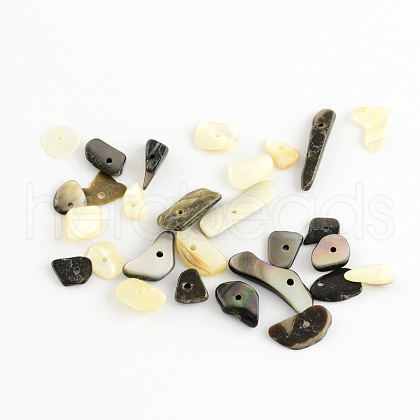 Natural Black Lip Shell Chips Beads SSHEL-S001-13-1