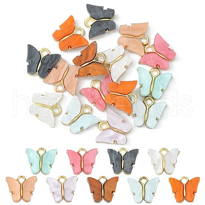 15Pcs Acrylic Charms MACR-YW0002-12KCG-1