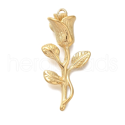 Ion Plating(IP) 304 Stainless Steel Pendants STAS-P371-034G-1