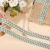 DELORIGIN 10 Yards Polyester Ribbons SRIB-DR0001-02-5