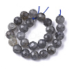 Natural Labradorite Beads Strands G-S345-8mm-005-2