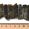 Natural Larvikite Beads Strands G-S386-D10-5