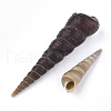 Spiral Shell Beads SSHEL-S258-34-2