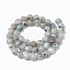 Natural Sesame Jasper/Kiwi Jasper Beads Strands G-S295-14-8mm-2