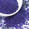 MIYUKI Round Rocailles Beads SEED-X0054-RR0484-4