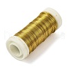 6 Rolls 6 Colors Baking Painted Iron Wire MW-K001-0.4mm-2
