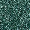 TOHO Round Seed Beads X-SEED-TR11-1833-2