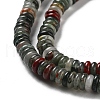 Natural African Bloodstone Beads Strands G-G084-A05-01-4
