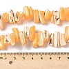 Dyed Natural Trochus Shell Beads Strands SSHEL-C013-09C-4