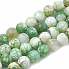 Dyed Natural Crackle Agate Beads Strands G-T100-03E-1