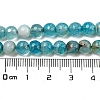 Natural Agate Beads Strands X-G-E054-6mm-16-4