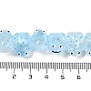 Transparent Glass Enamel Beads Strands GLAA-B021-05G-4