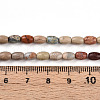 Natural Shoushan Stone Beads Strands G-N346-02A-07-5