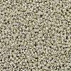 MIYUKI Round Rocailles Beads SEED-G007-RR0181-4
