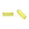 Glass Bugle Beads TSDB6mm24-2