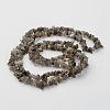 Natural Labradorite Chips Beads Strands X-F069-3