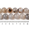 Natural Dendritic Agate Beads Strands G-A248-A07-07-5