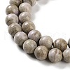 Natural Rainbow Alashan Agate Beads Strands G-NH0022-A09-02-4