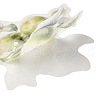 10Pcs Fruit PET Self-Adhesive Stickers DIY-K074-08E-4