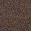 TOHO Round Seed Beads SEED-JPTR11-1704-2