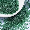 MIYUKI Round Rocailles Beads SEED-X0054-RR0173-4